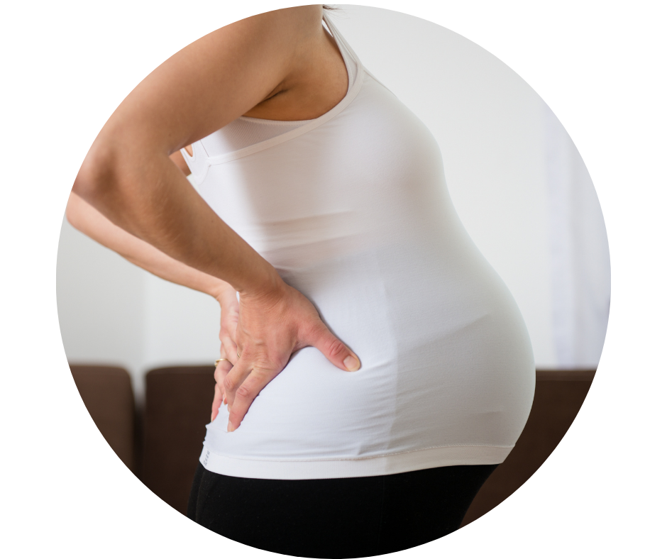 Pregnancy Massage Back In Action